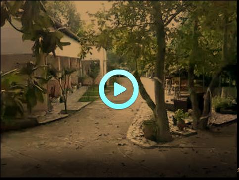 limenas thassos webcam